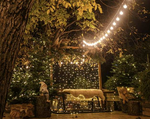 Backyard Fun Made Easy: Must-Have Outdoor Gadgets for Effortless Entertaining